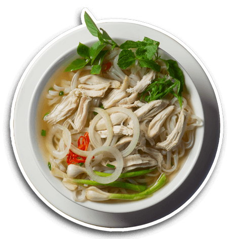 chicken-noodle-soup-so-mot