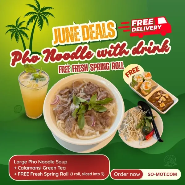Large Pho Noodle Soup with Drink Free Fresh Spring roll