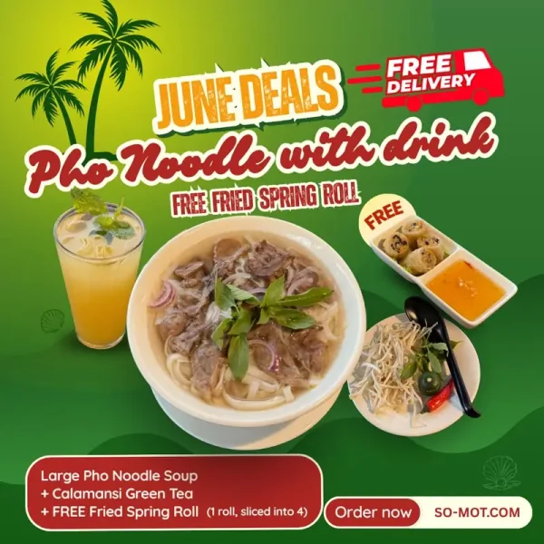 Large Pho Noodle Soup with Drink Free Fried Spring roll