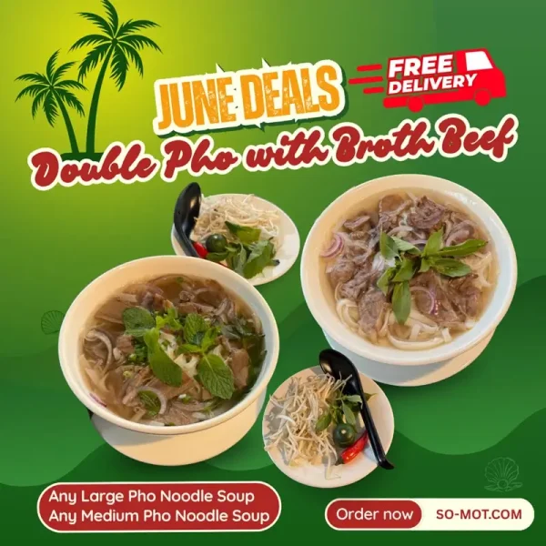 Double Pho with broth beef
